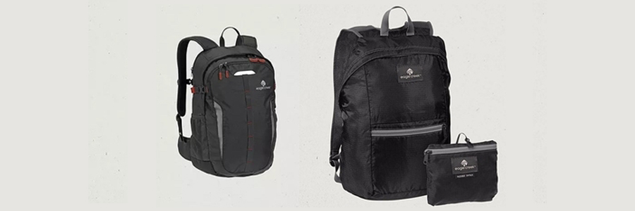 Eagle Creek Daypacks and Transformer Bags