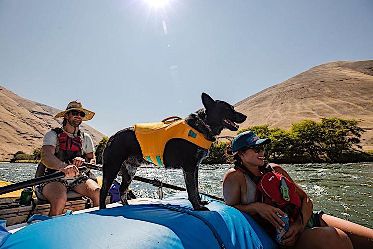 Ruffwear Float Coat