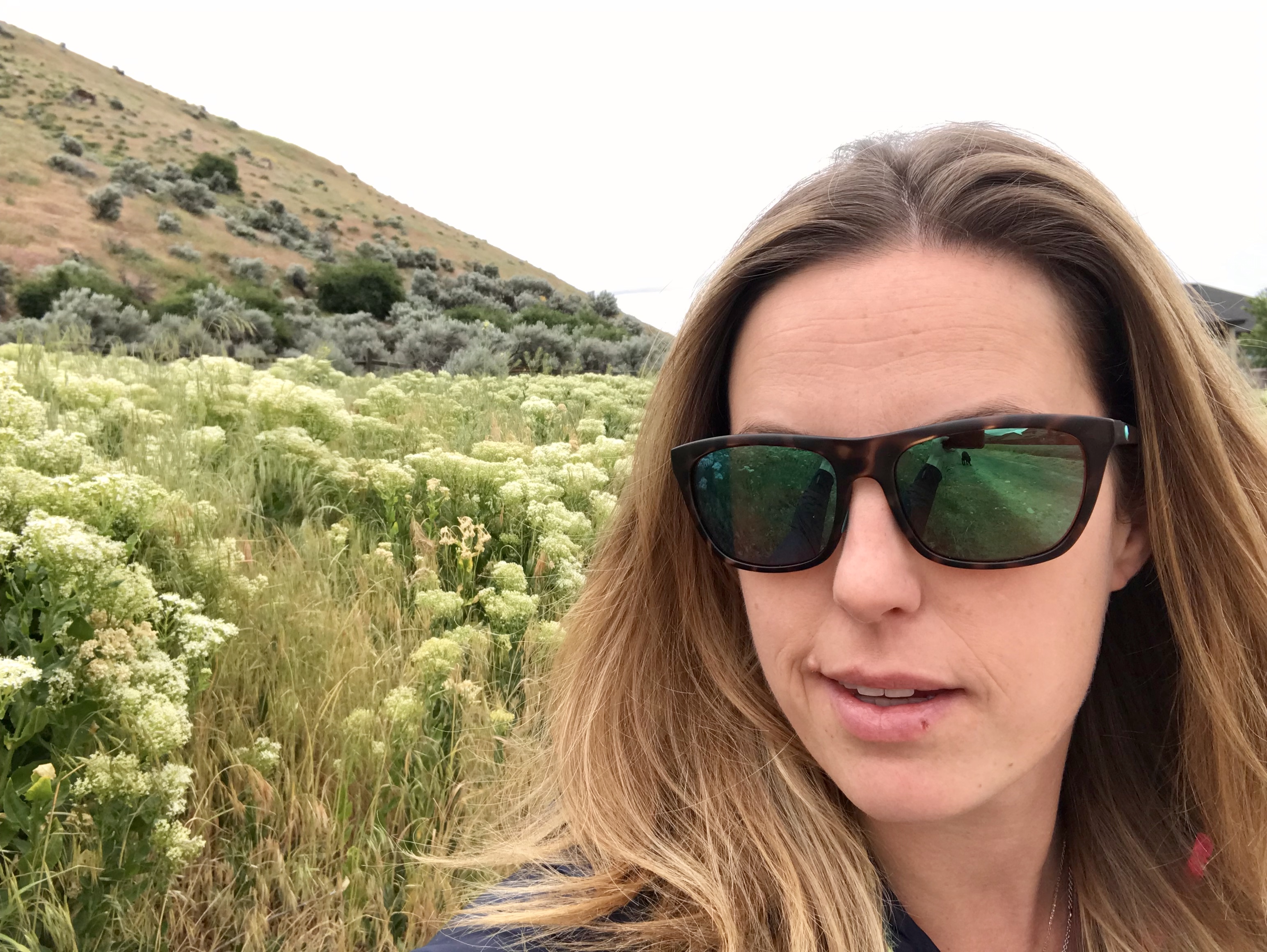 Cheeca Sunglasses