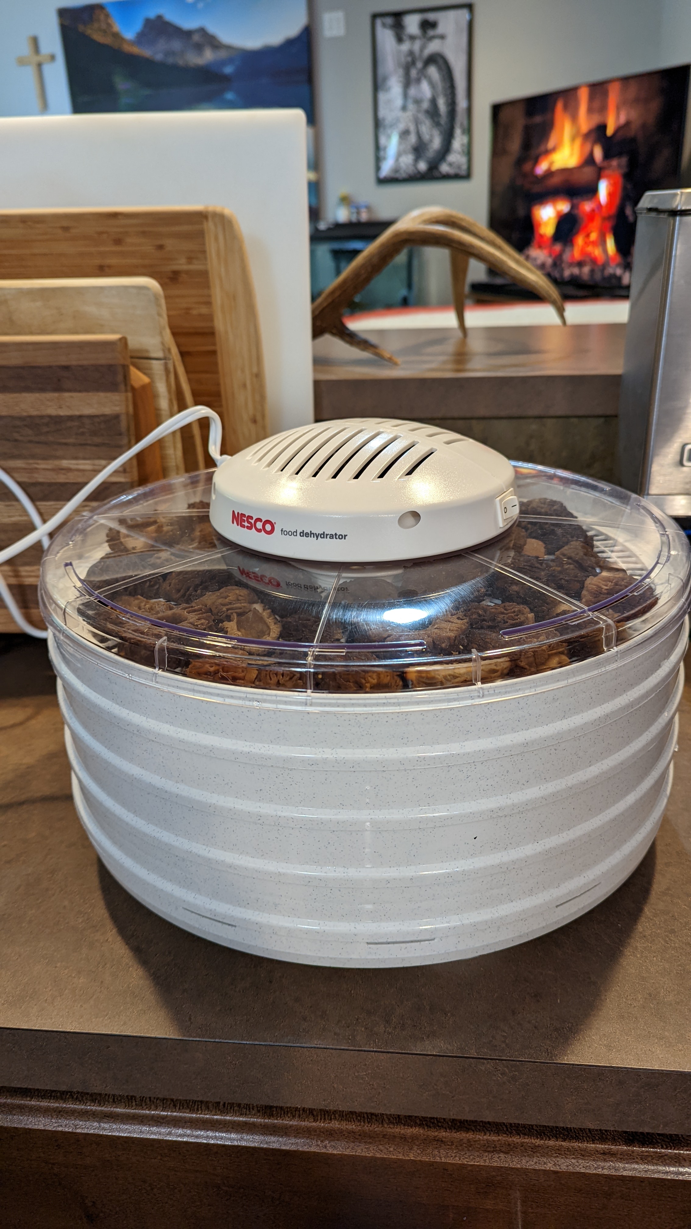 Jerky Dehydrator