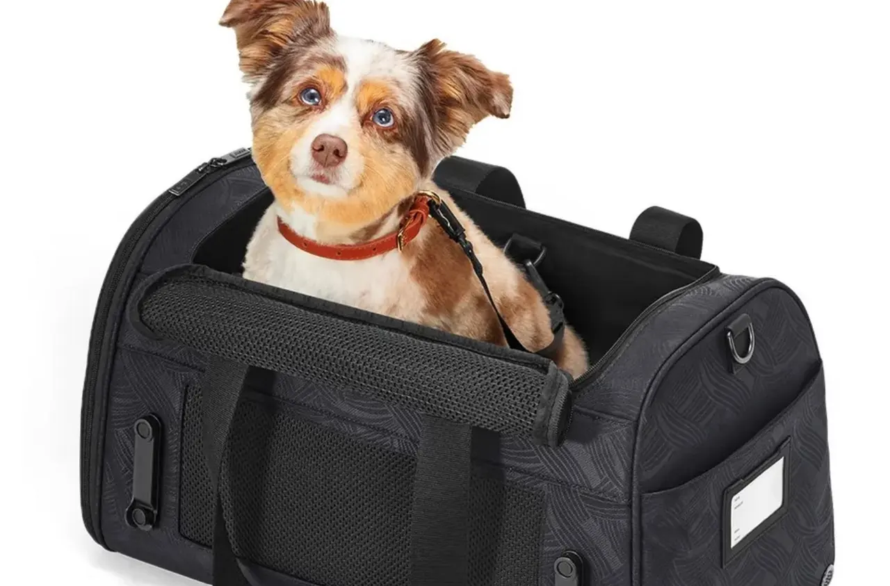 pet carrier