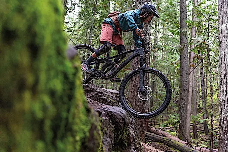Patagonia Dirt Roamer Bike Shorts