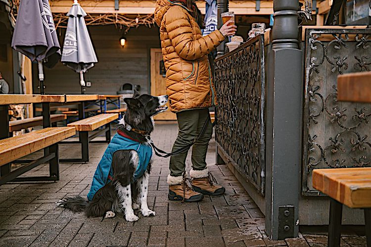 Ruffwear Stumptown Quilted Dog Coat