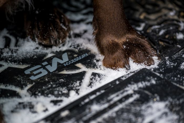 3W car mats with dog paws