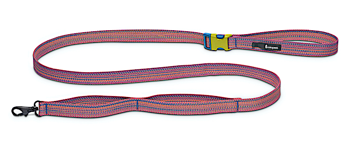 Cotopaxi Del Dia Dog Leash