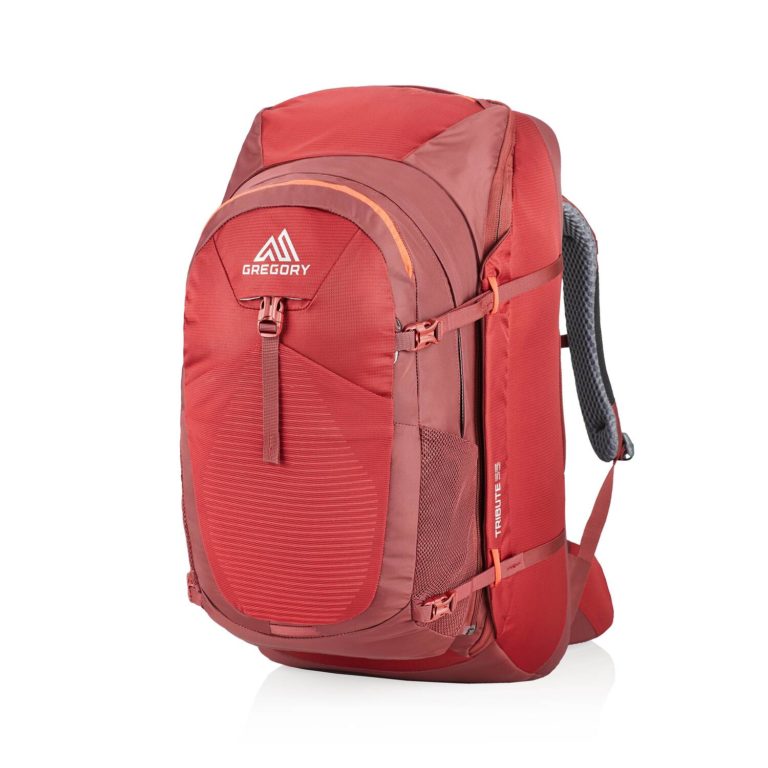 Gregory Tribute backpack for international travel
