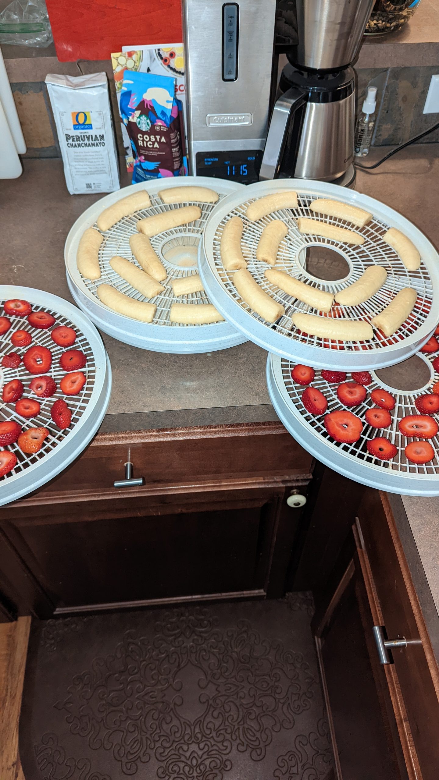 Dehydrating my Favorite Foods with NESCO FD37 Clear Cover Food & Jerky