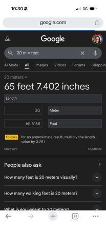 Screen shot of a google search for feet to meters conversion